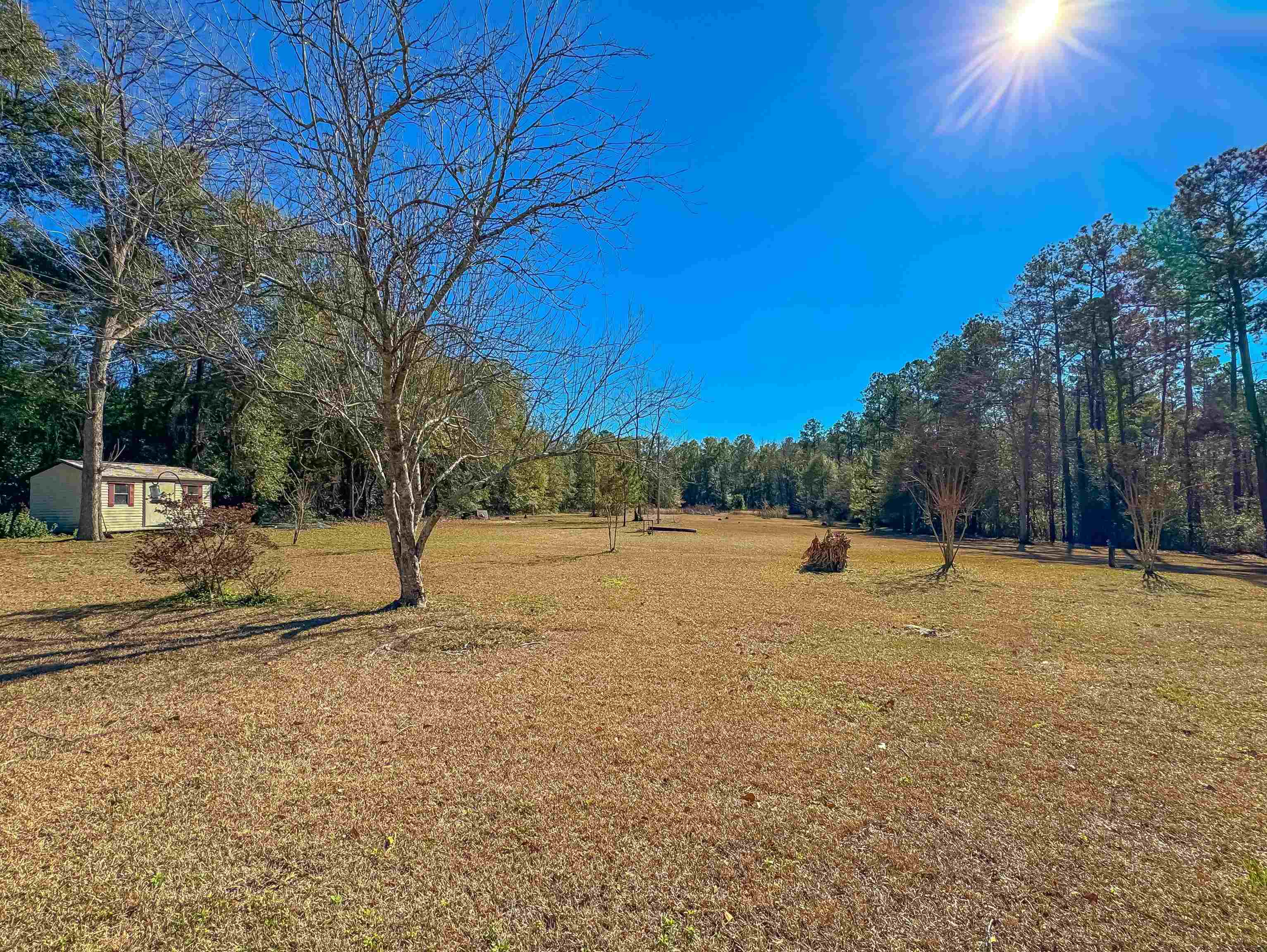 218 Woodward Road Quincy, FL 32352 - Photo 9 of 42 Gallery Image 9
