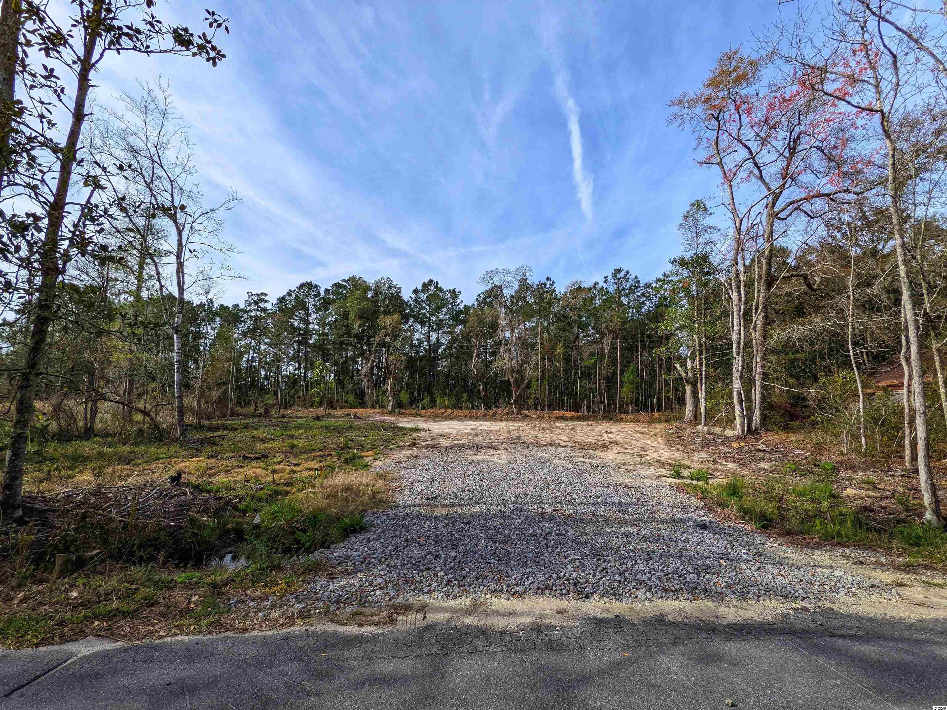 199 Tradd Road Georgetown, SC 29440 - Photo 11 of 16 Gallery Image 11