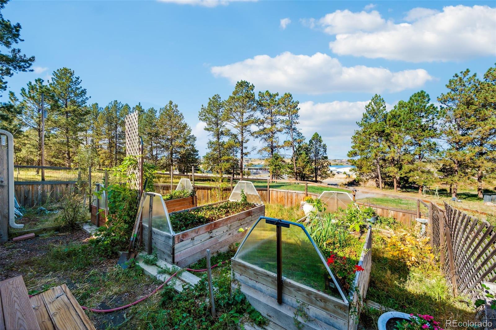 419 Pine Ridge Street Elizabeth, CO 80107 - Photo 31 of 39 Gallery Image 31