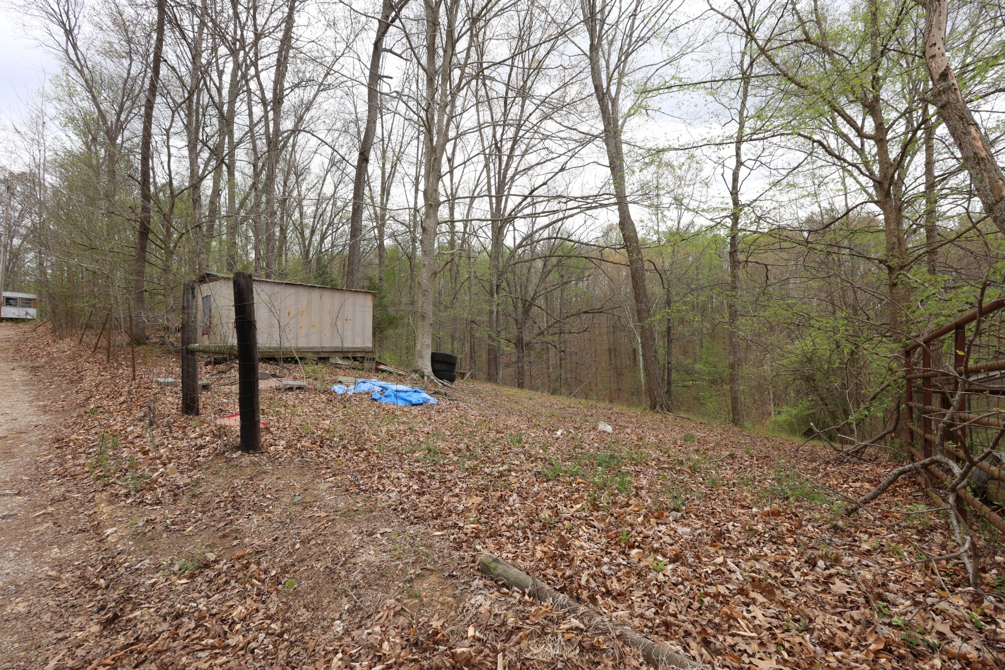 109 Furnace Hill Road Indian Mound, TN 37079 - Photo 11 of 17 a backyard of a house with lots of green space