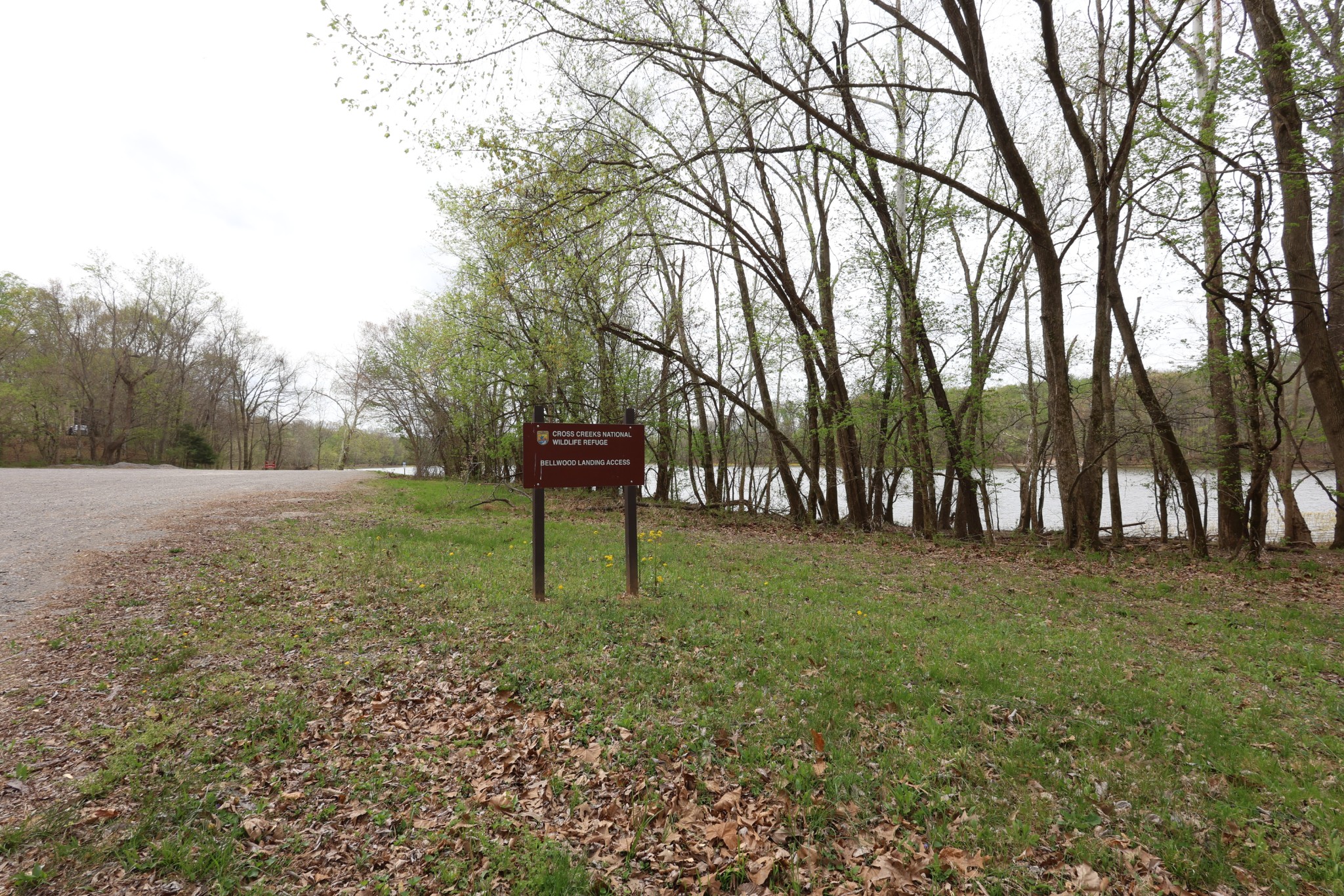 109 Furnace Hill Road Indian Mound, TN 37079 - Photo 13 of 17 a backyard of a house with lots of green space