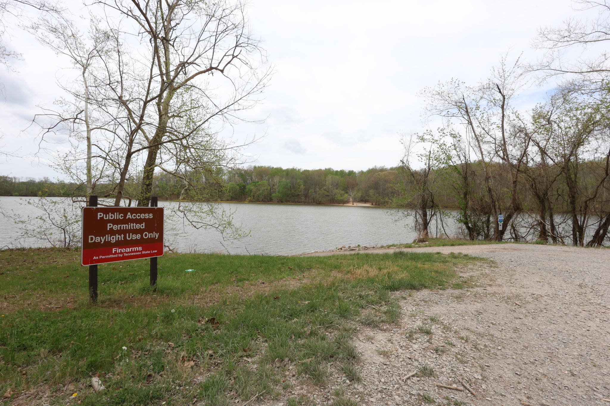 109 Furnace Hill Road Indian Mound, TN 37079 - Photo 14 of 17 a view of backyard with green space