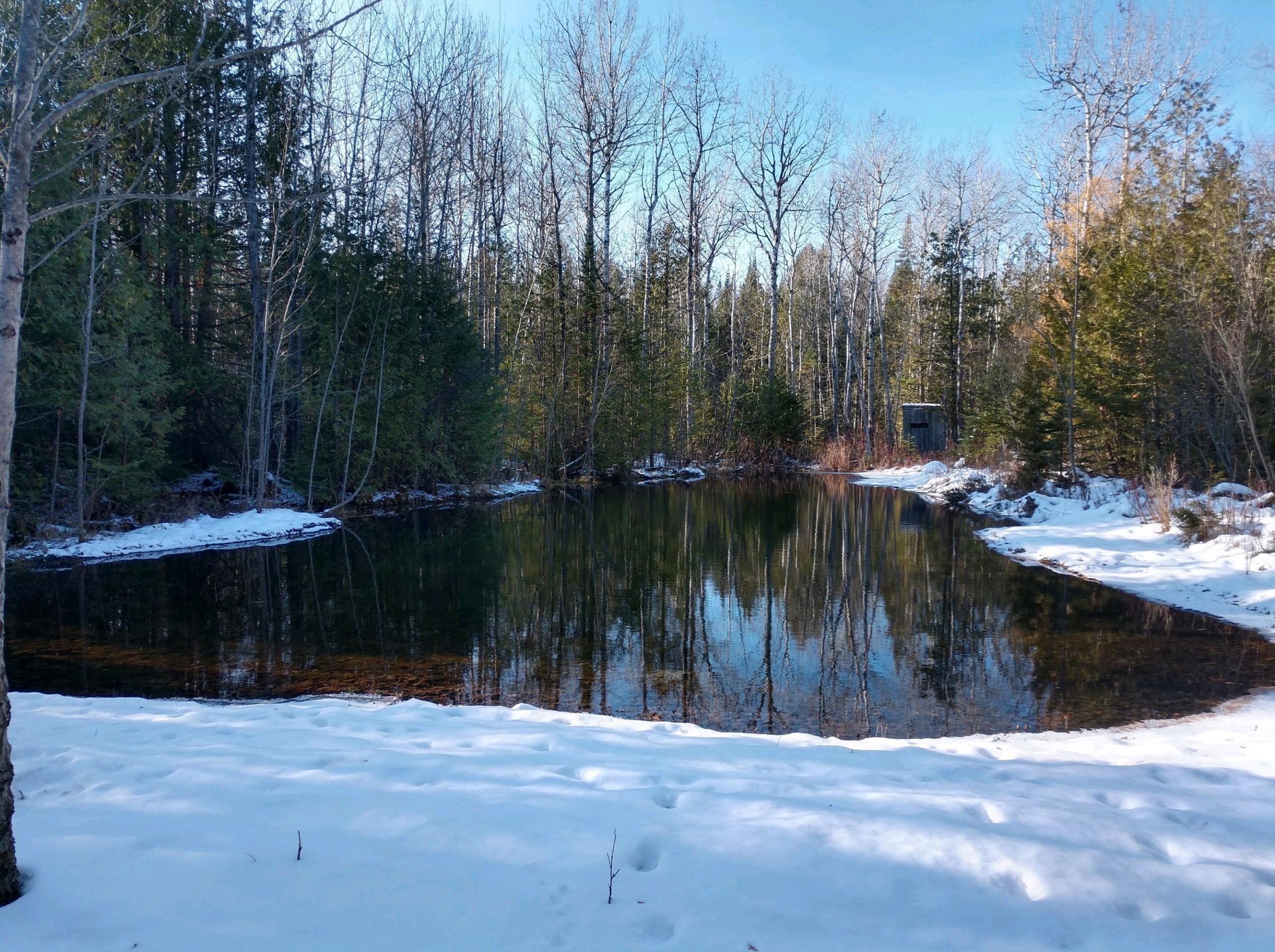 Hamilton Road Alpena, MI 49707 - Photo 4 of 17 Gallery Image 4