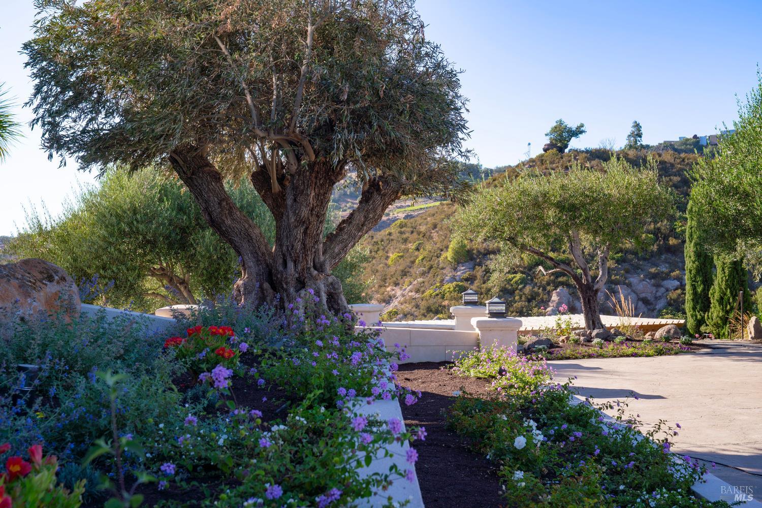 2700 Atlas Peak Road Napa, CA 94558 - Photo 65 of 67