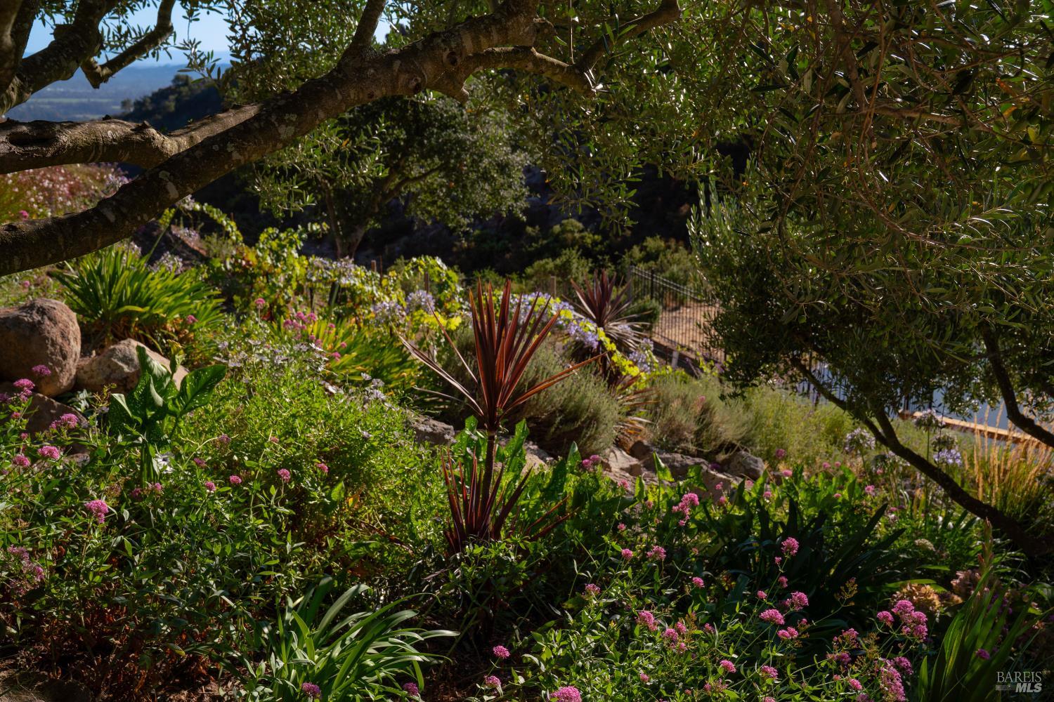 2700 Atlas Peak Road Napa, CA 94558 - Photo 66 of 67