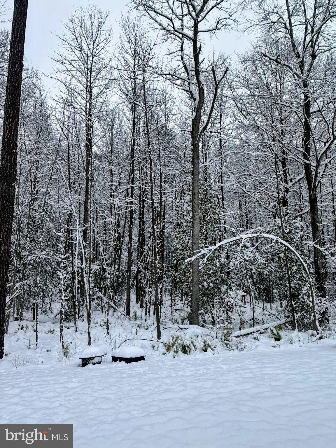 185 Currant Circle Magnolia, DE 19962 - Photo 19 of 20 Winter's serene woodland embrace.