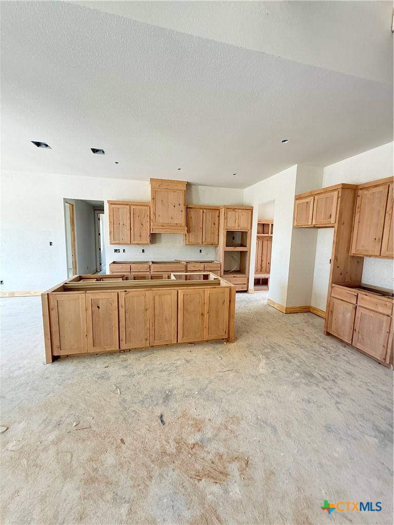 4238 Cold Springs Road Kempner, TX 76539 - Photo 8 of 19
