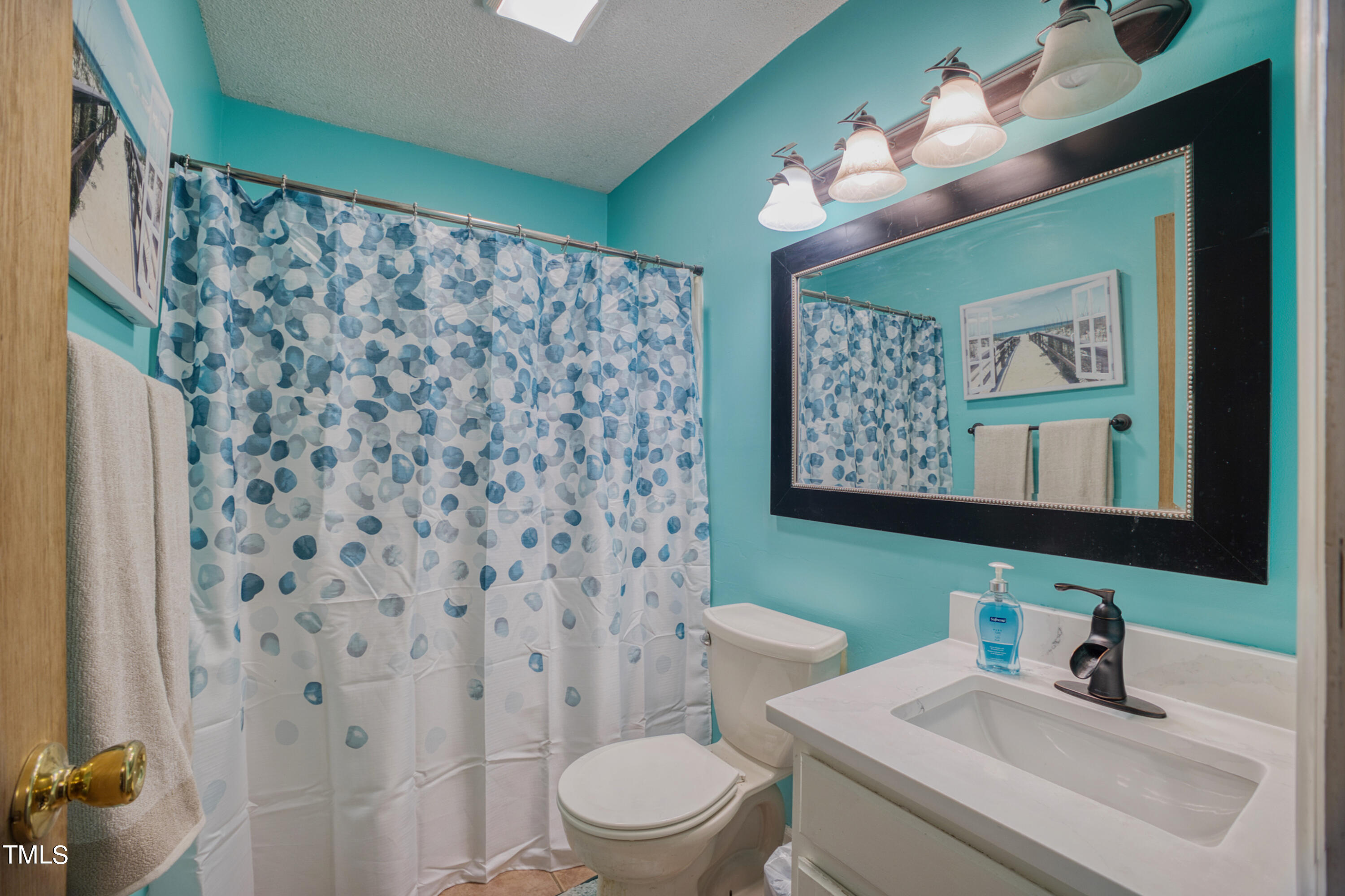 2650 Schloss Road Louisburg, NC 27549 - Photo 25 of 48 a bathroom with a toilet sink and mirror