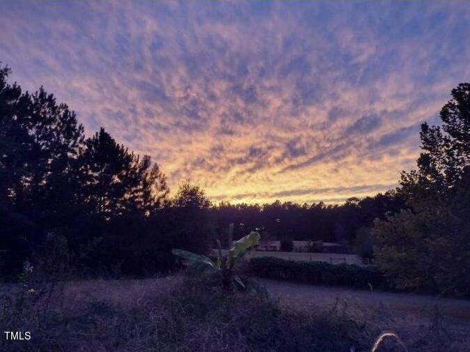 2650 Schloss Road Louisburg, NC 27549 - Photo 40 of 48 a view of a yard with wooden fence and outdoor space