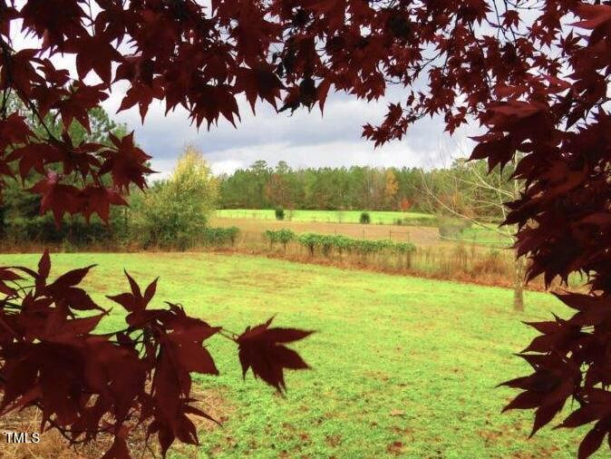 2650 Schloss Road Louisburg, NC 27549 - Photo 41 of 48 a view of an ocean beach