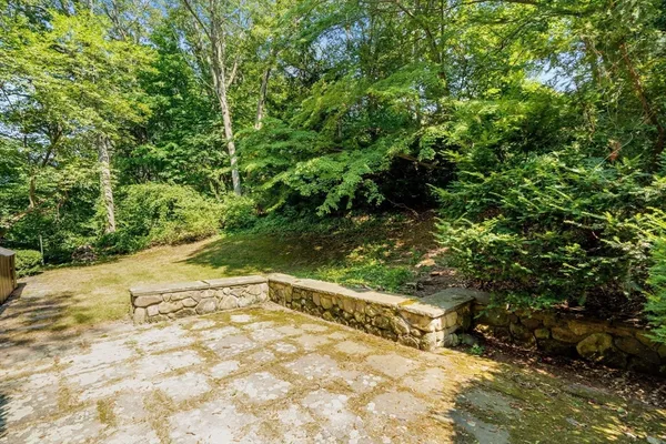 a view of a yard with plants and trees