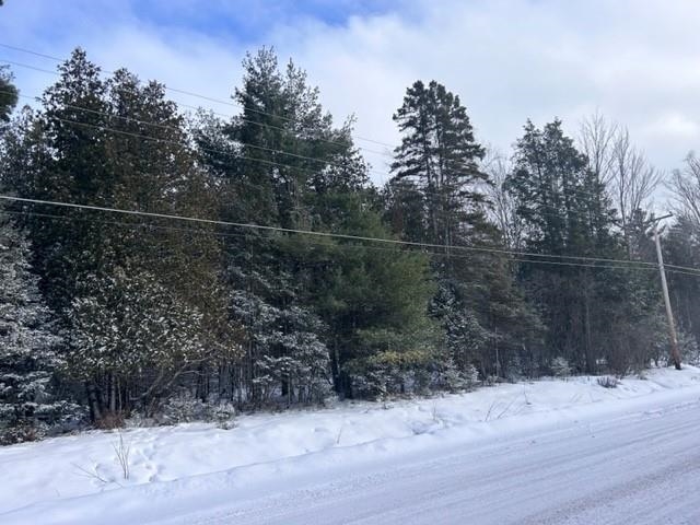 Parcel A Bootjack Road Lake Linden, MI 49945 - Photo 6 of 43 Gallery Image 6