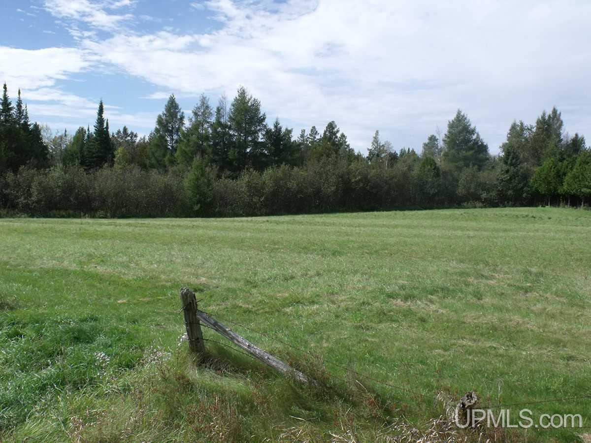 Tbd 240 Acres Off Belgium Road Manistique, MI 49854 - Photo 21 of 35