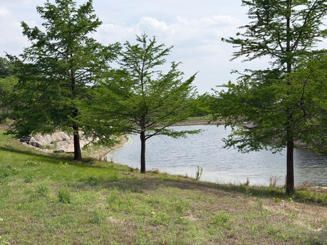 460 Eagle Ridge Road Center Point, TX 78010 - Photo 13 of 14