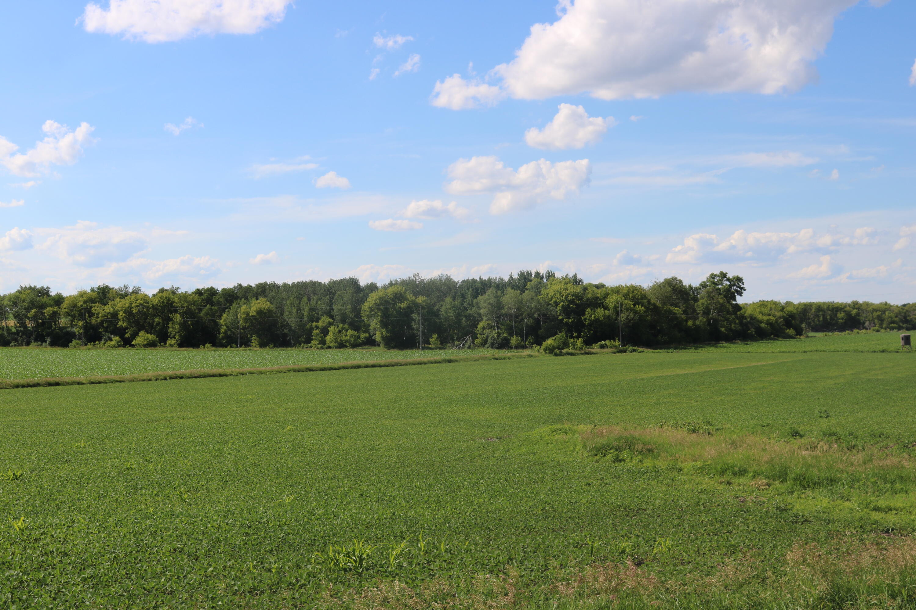 Lt2632000 West Hancock Road Watertown, WI 53098 - Photo 2 of 3 IMG_1628