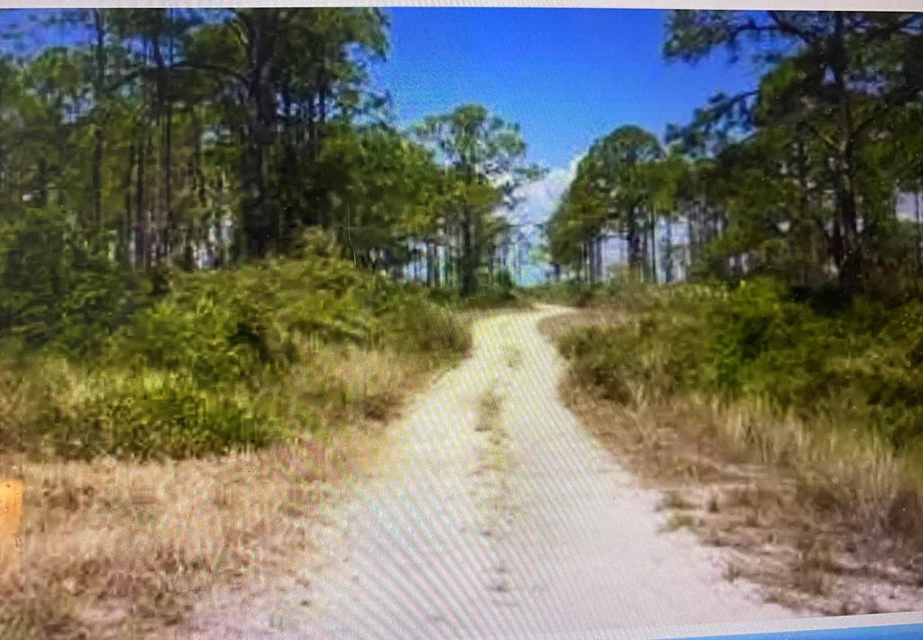 147 Boaters Road Carrabelle, FL 32322 - Photo 2 of 4