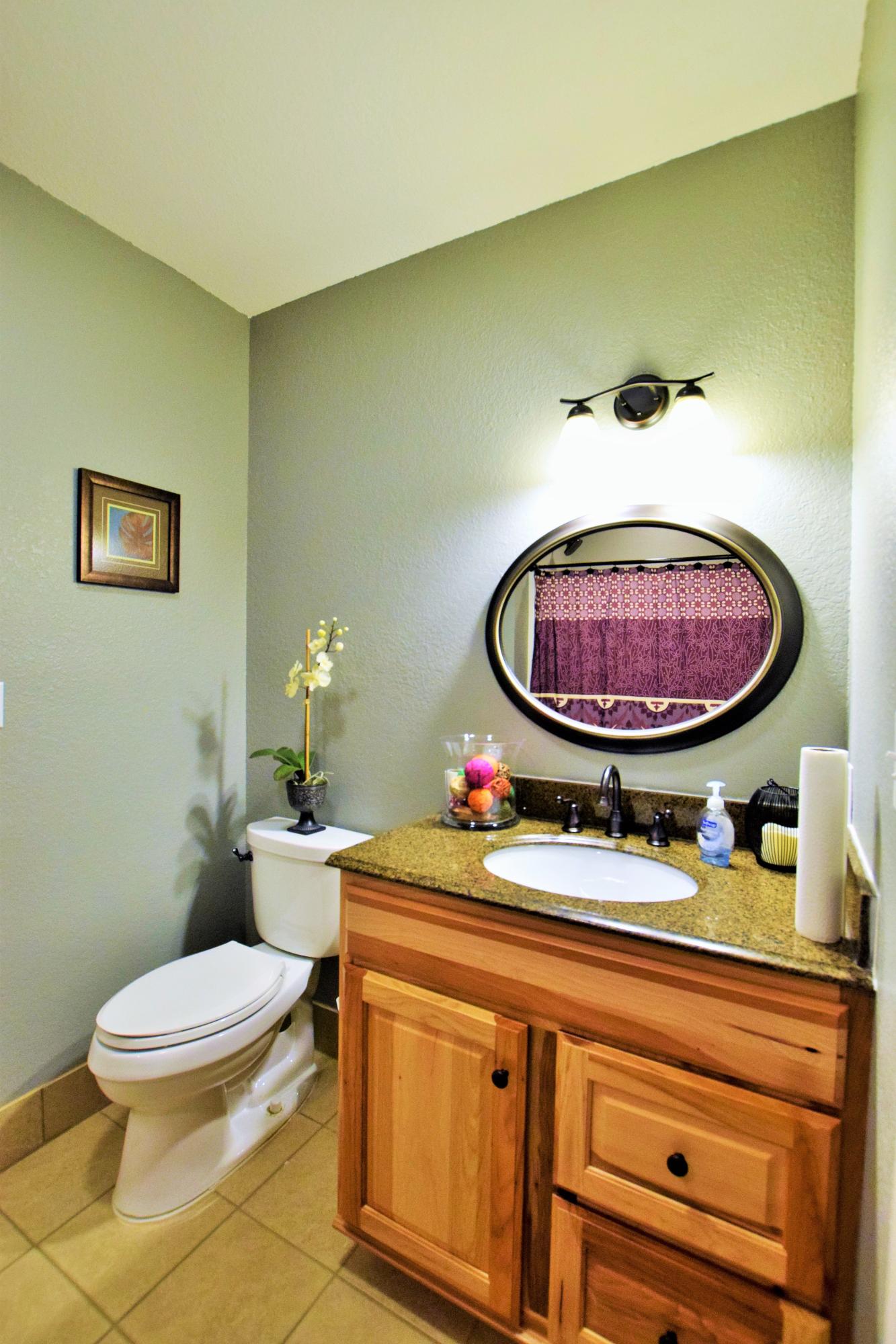 405 Hatcher Road Seymour, TN 37865 - Photo 21 of 30 Down bath