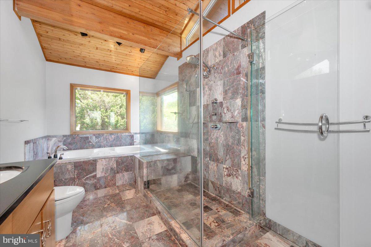 11127 Dublin Road Woodsboro, MD 21798 - Photo 45 of 62 a bathroom with a granite countertop sink a toilet and shower