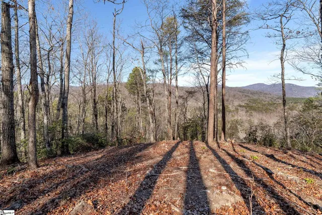 $949,000 | 198 Wood Violet Trail, Marietta, SC 29661