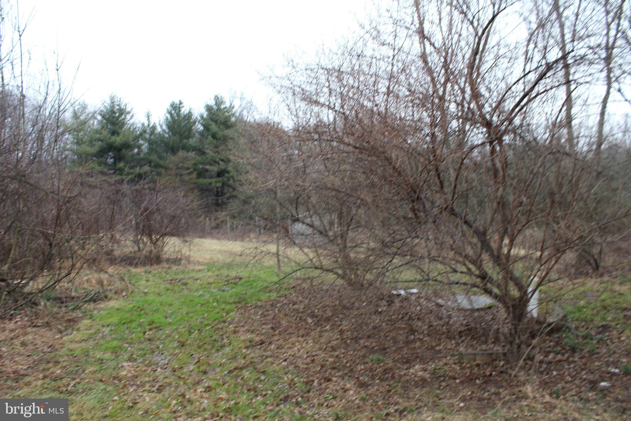 833 Rife Run Road Manheim, PA 17545 - Photo 5 of 8 Yard