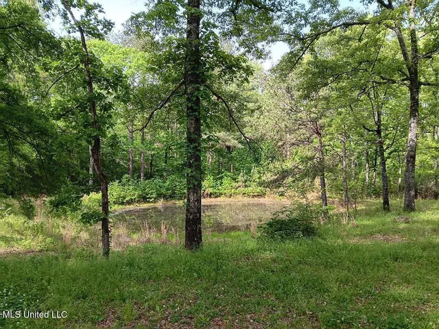 $110,000 | 1199 Dry Grove Road, Crystal Springs, MS 39059