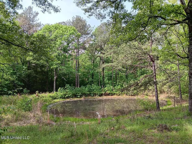 $110,000 | 1199 Dry Grove Road, Crystal Springs, MS 39059