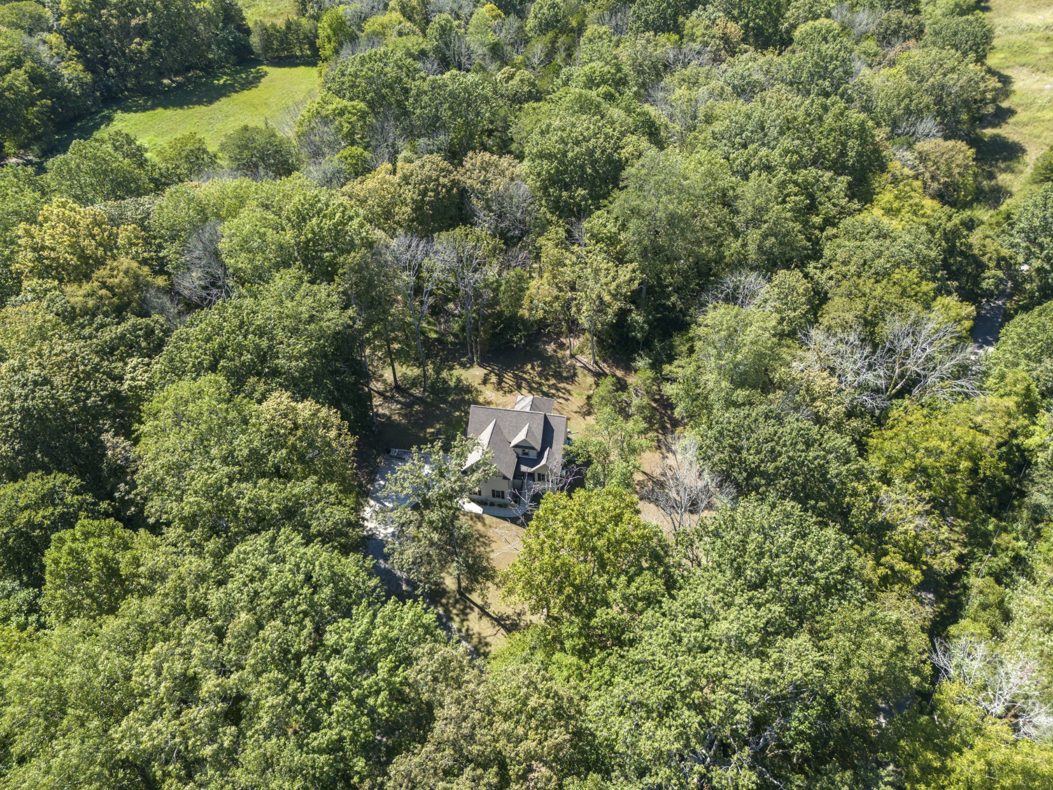 659 Turney Road Auburntown, TN 37016 - Photo 34 of 40 view of a forest with a tree