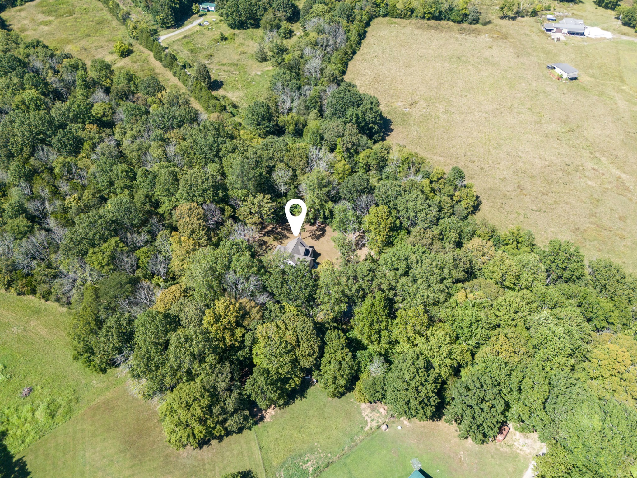 659 Turney Road Auburntown, TN 37016 - Photo 40 of 40 a view of a garden with plants