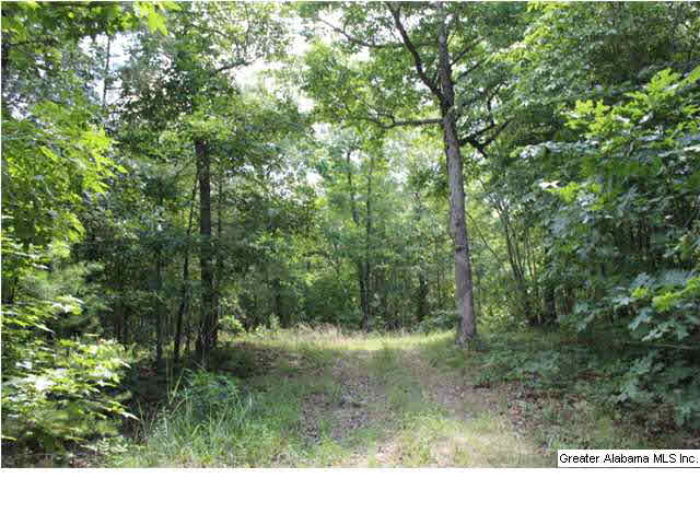 793 County Road, Unit 460 Centre, AL 35960 - Photo 5 of 11