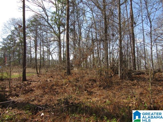 229 County Road, Unit 29 Thorsby, AL 35171 - Photo 18 of 23