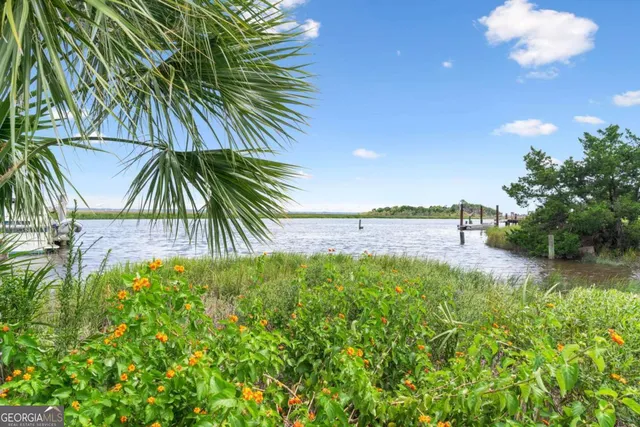 a view of a yard with a palm tree