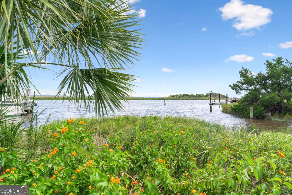 16 Hidden Harbor Road Brunswick, GA 31525 - Photo 4 of 42 a view of a yard with a palm tree