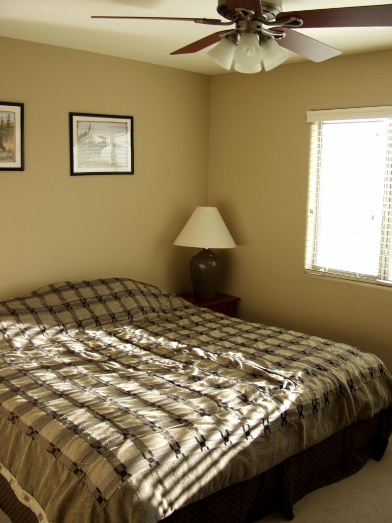 28915 North Nobel Road Phoenix, AZ 85085 - Photo 12 of 18 p1011475