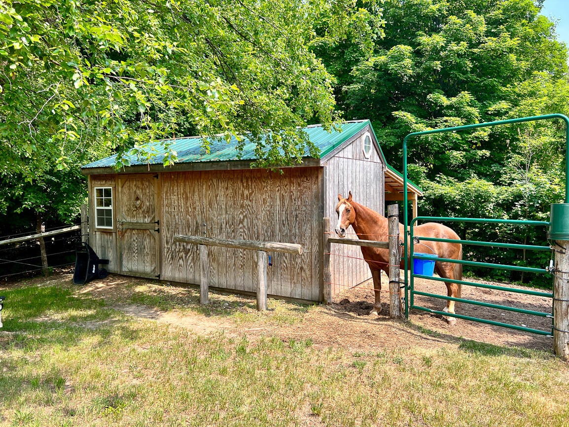 4197 Morgan Road Gaylord, MI 49735 - Photo 15 of 69 Gallery Image 15