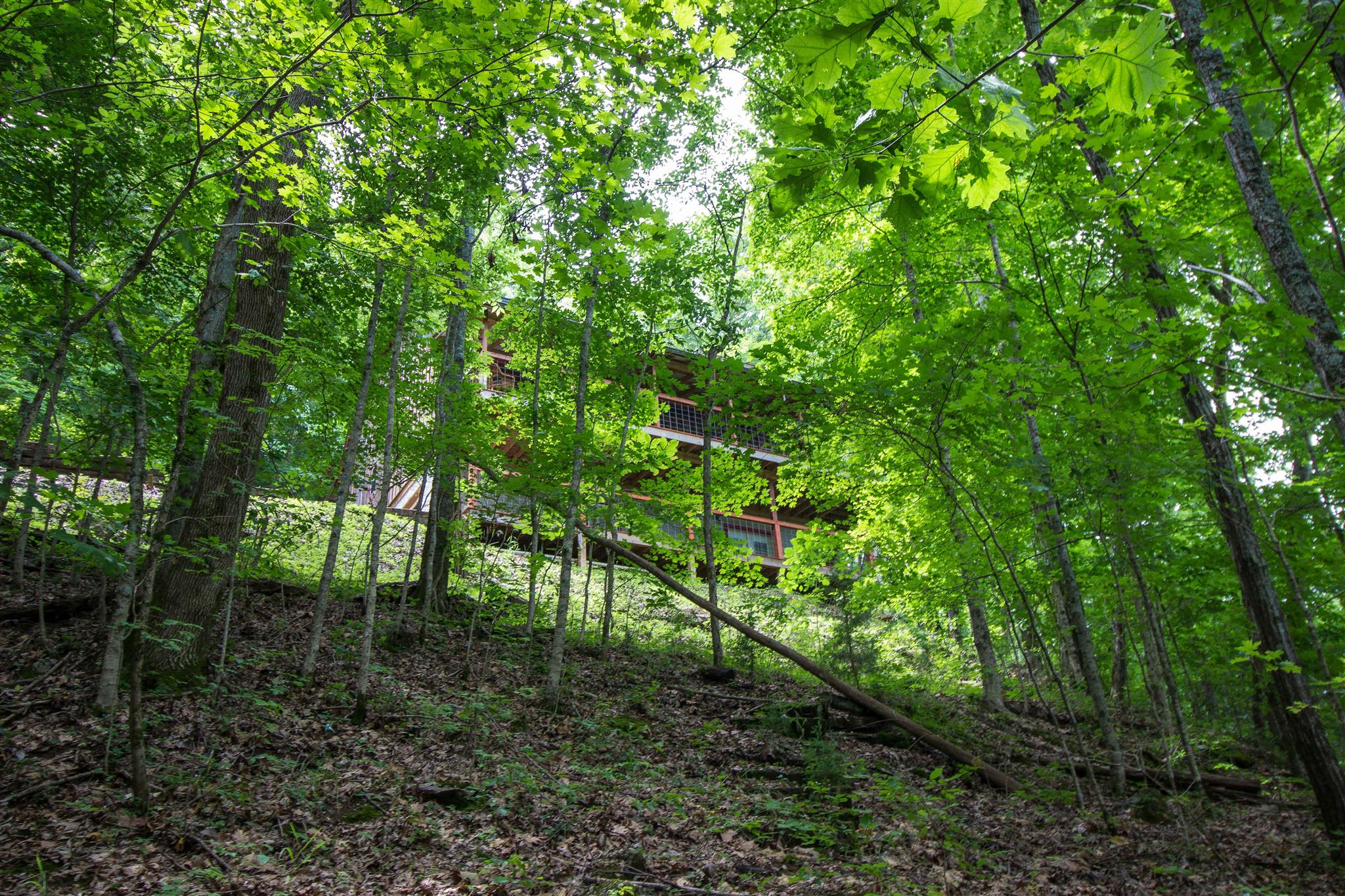 975 Black Berry Hill Road Silver Point, TN 38582 - Photo 6 of 21
