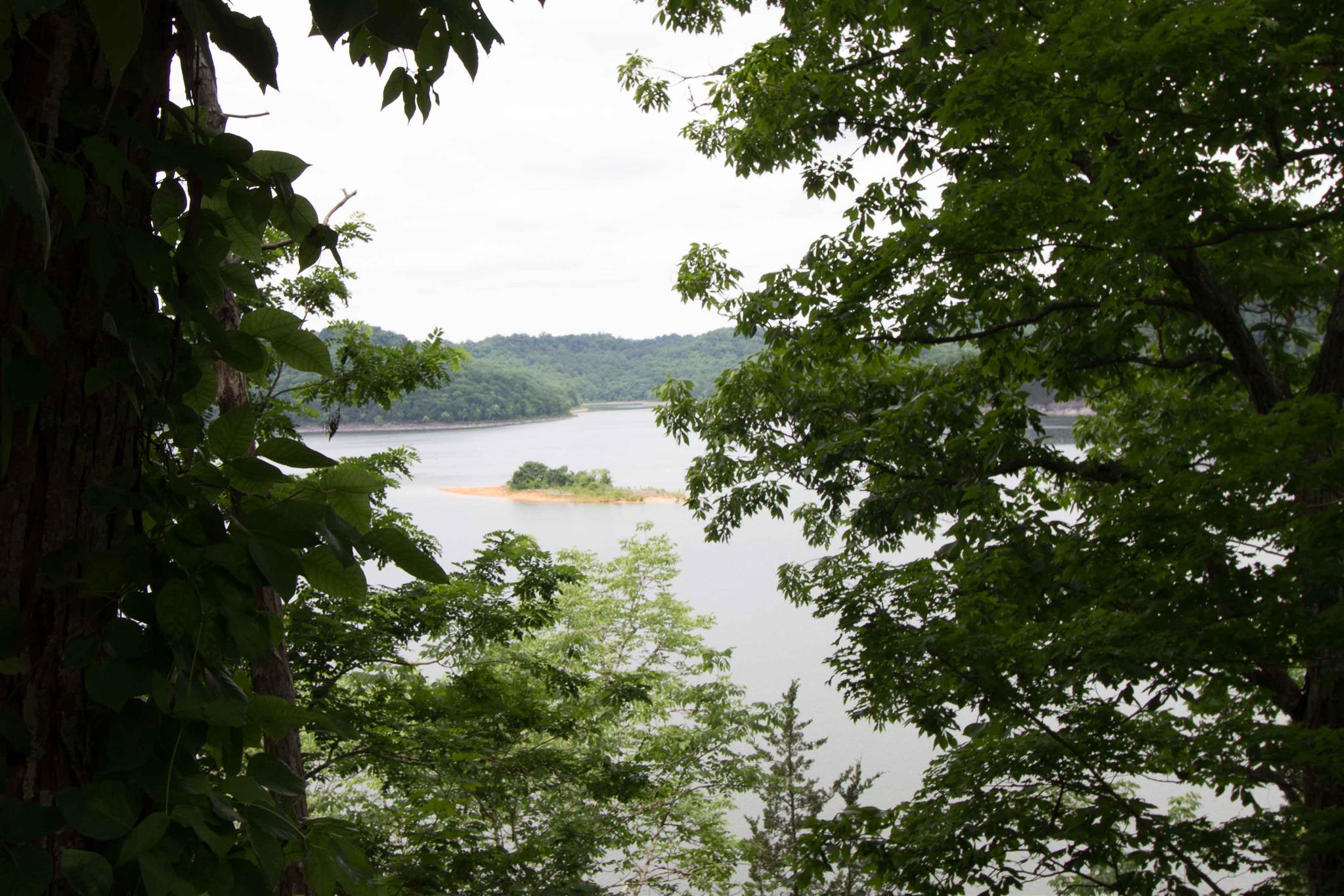 975 Black Berry Hill Road Silver Point, TN 38582 - Photo 9 of 21