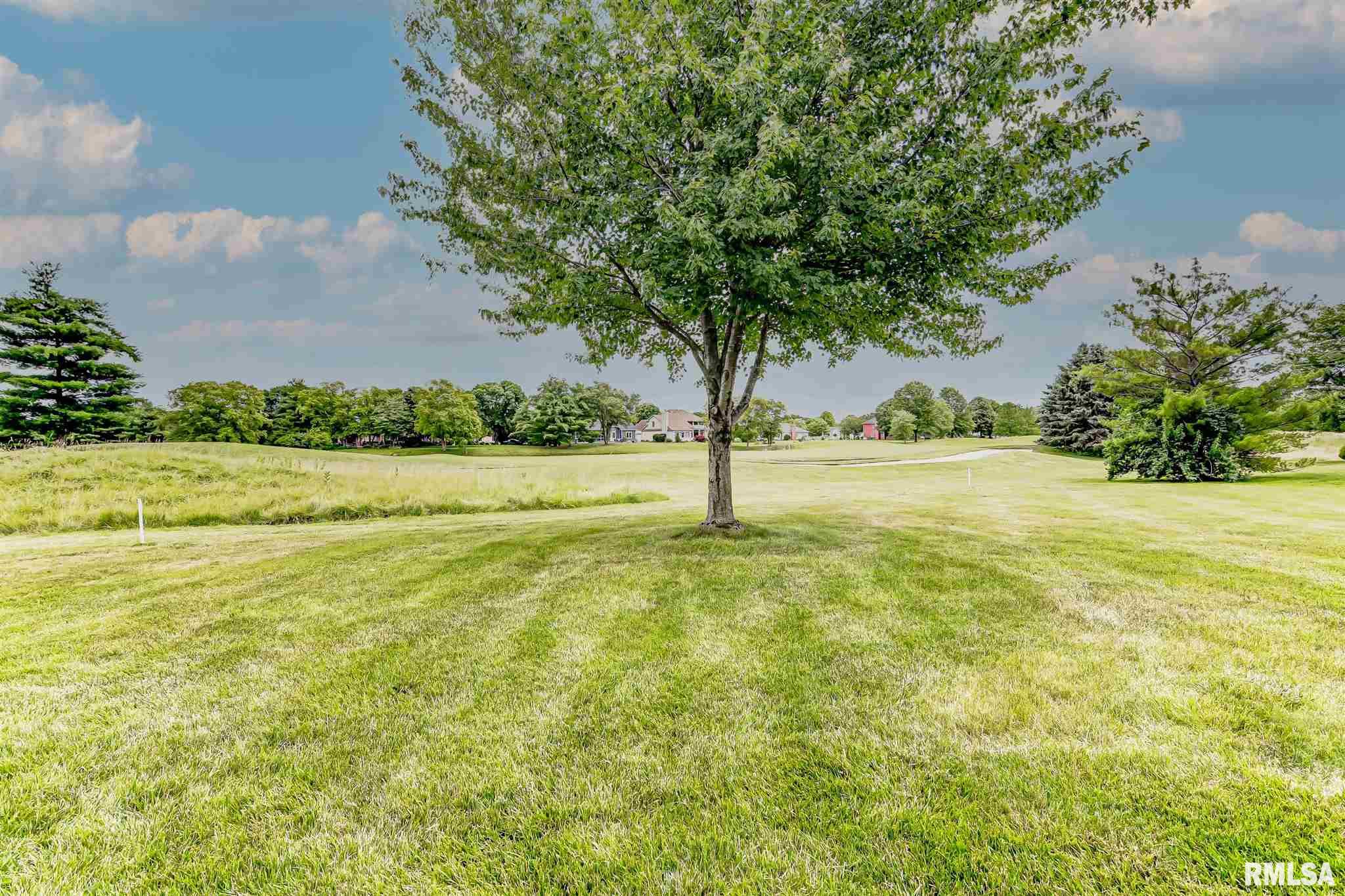 5008 Foxfire Court Springfield, IL 62711 - Photo 40 of 50 Gallery Image 40