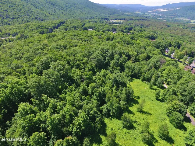 a view of a lush green forest with trees and some houses