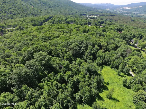 a view of a lush green forest with trees and houses