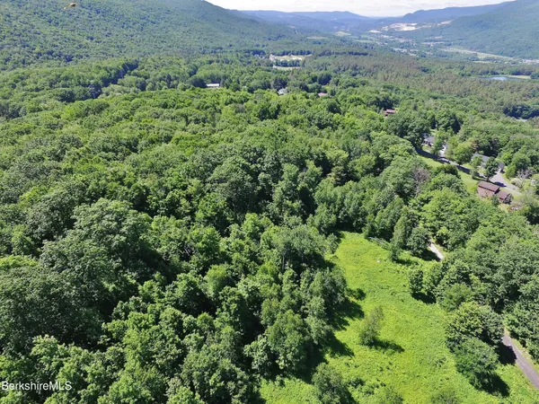 a view of a lush green field with lots of bushes