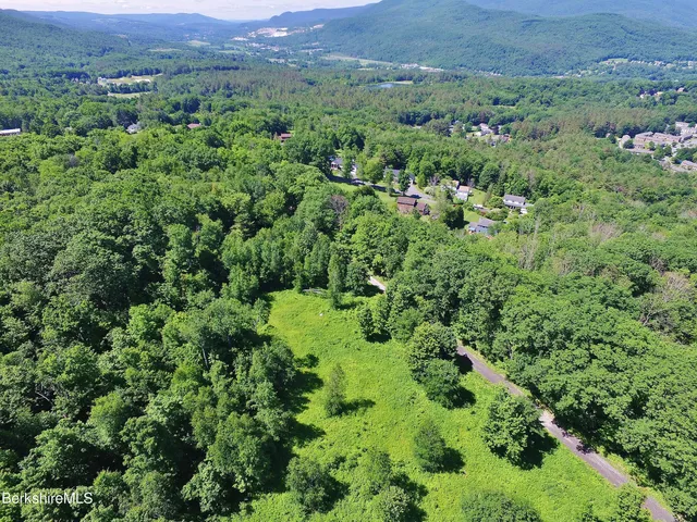 an aerial view of a lush green valley