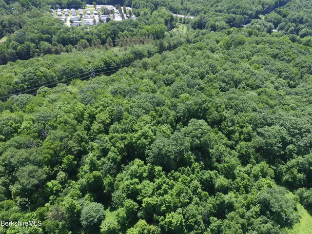 an aerial view of a house with a lush green forest