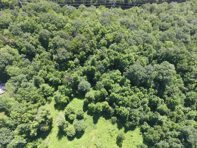 view of a lots of trees and bushes