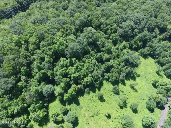 an aerial view of a forest with houses