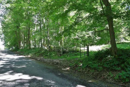 a big yard with lots of green space and trees around