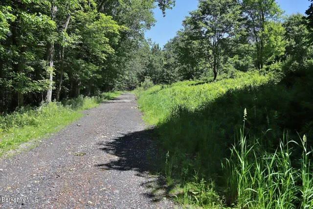 a view of a road with a yard