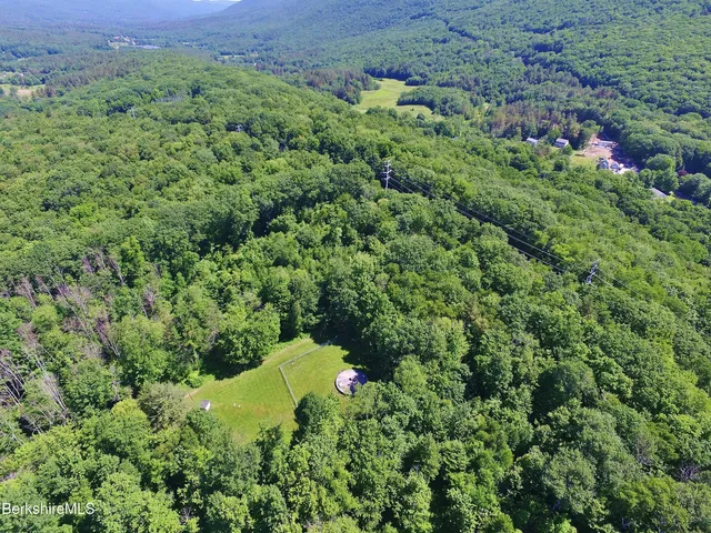 a view of a lush green forest with lots of trees