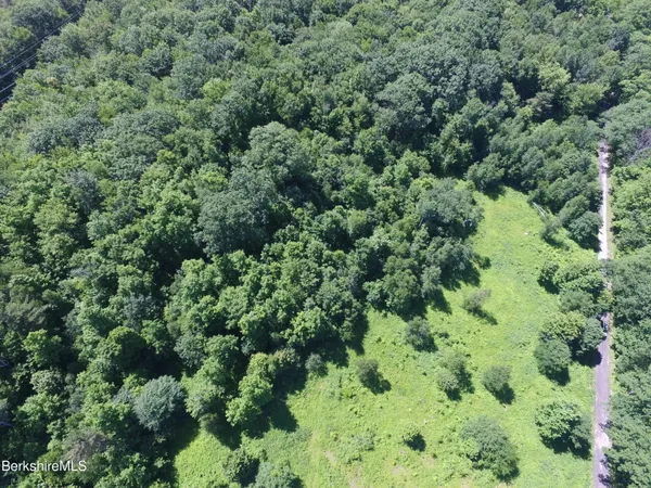 an aerial view of a forest with houses
