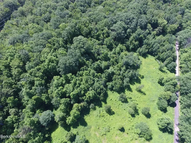 an aerial view of a forest with houses