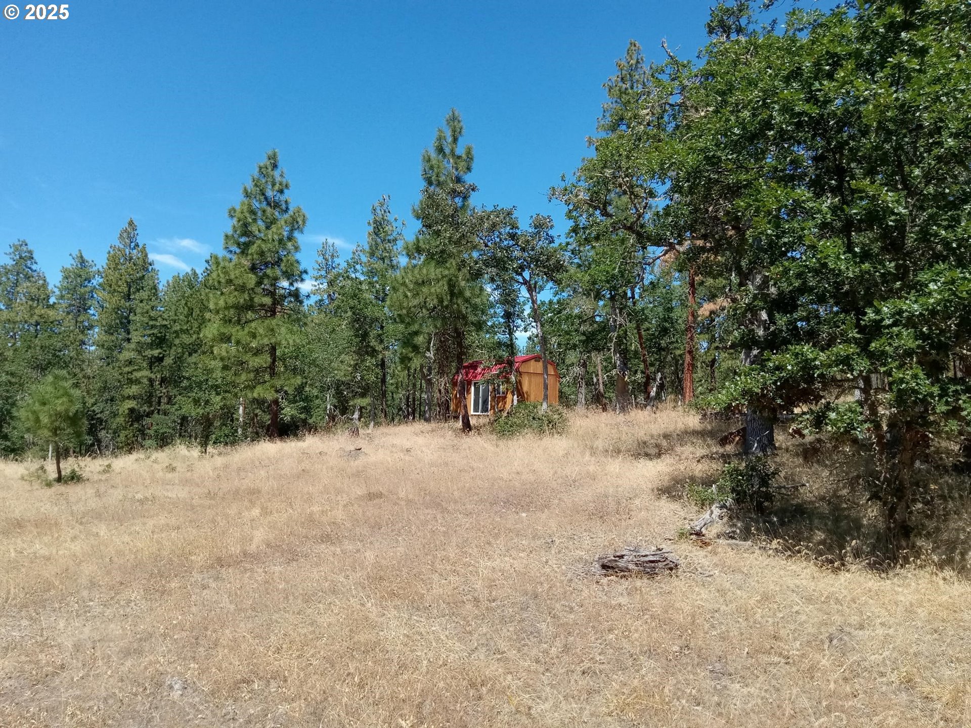 Wilderness Loop, Unit 7576 Goldendale, WA 98620 - Photo 13 of 16 a view of entertaining space with trees